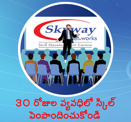 skyway network