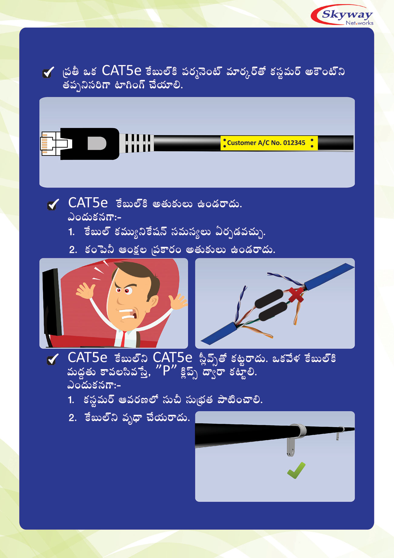 skyway network