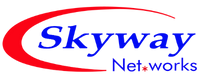 Skyway Networks Logo